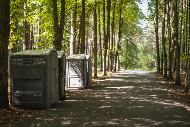 Best Porta potty services near me  in Buhler, KS